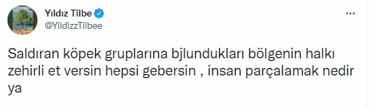 Yıldız Tilbe'den pes dedirten öneri! 'Köpeklere zehirli et verin, gebersinler'
