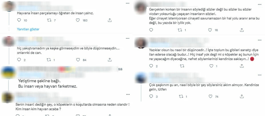 Yıldız Tilbe'den pes dedirten öneri! 'Köpeklere zehirli et verin, gebersinler'