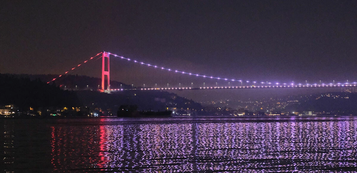 Ayçiçek yağı taşıyan ikinci gemi İstanbul’a ulaştı