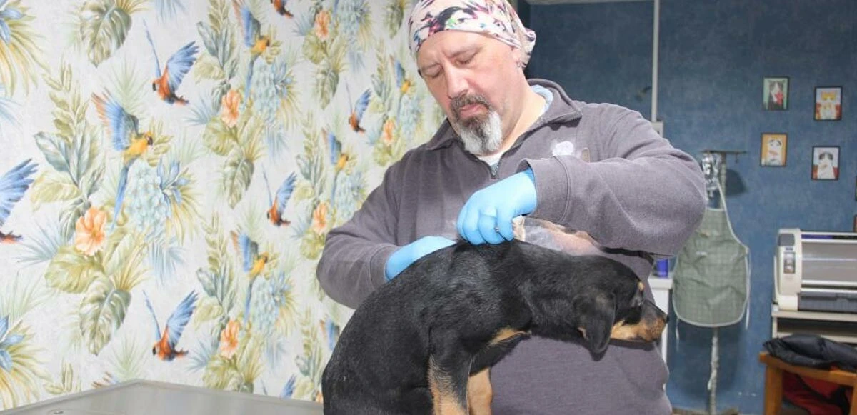 Mersin'de yavru köpeğe işkence! Kafasını duvara çarptı, 15 metre yüksekten aşağı attı