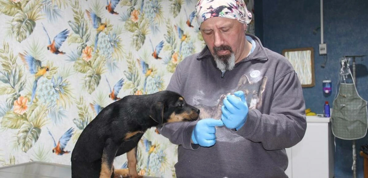 Mersin'de yavru köpeğe işkence! Kafasını duvara çarptı, 15 metre yüksekten aşağı attı