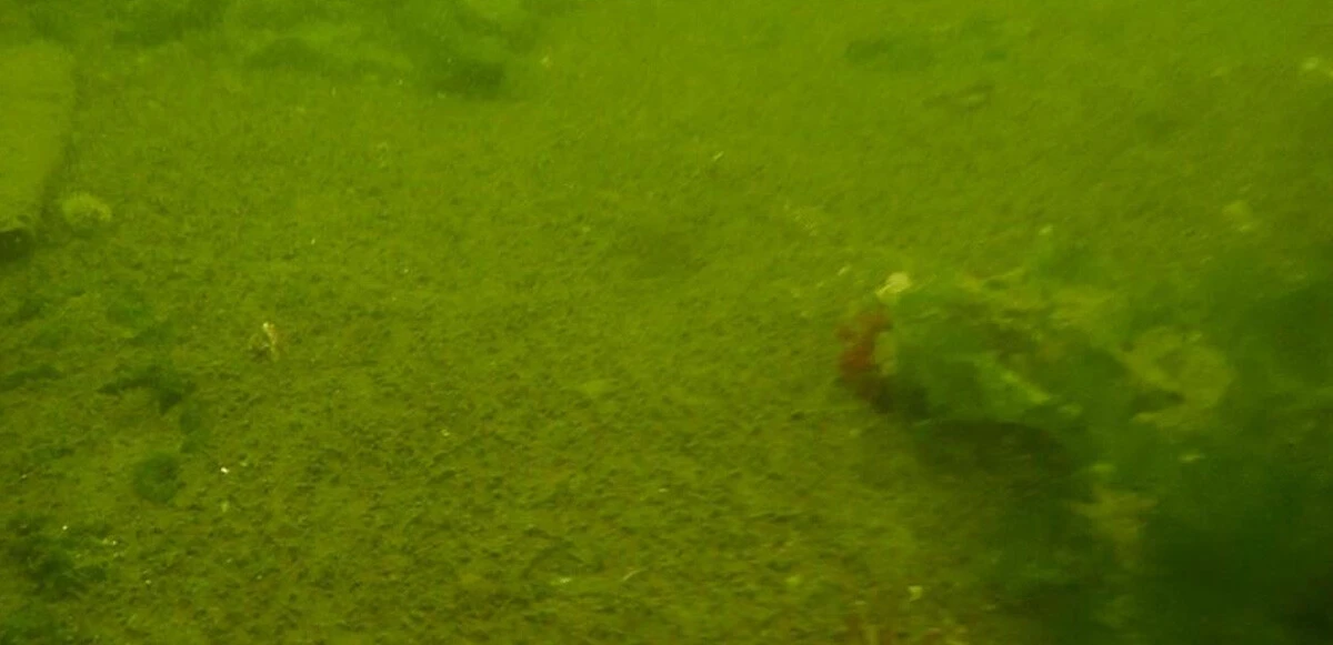 Marmara Denizi’nde müsilaja rastlanmadı