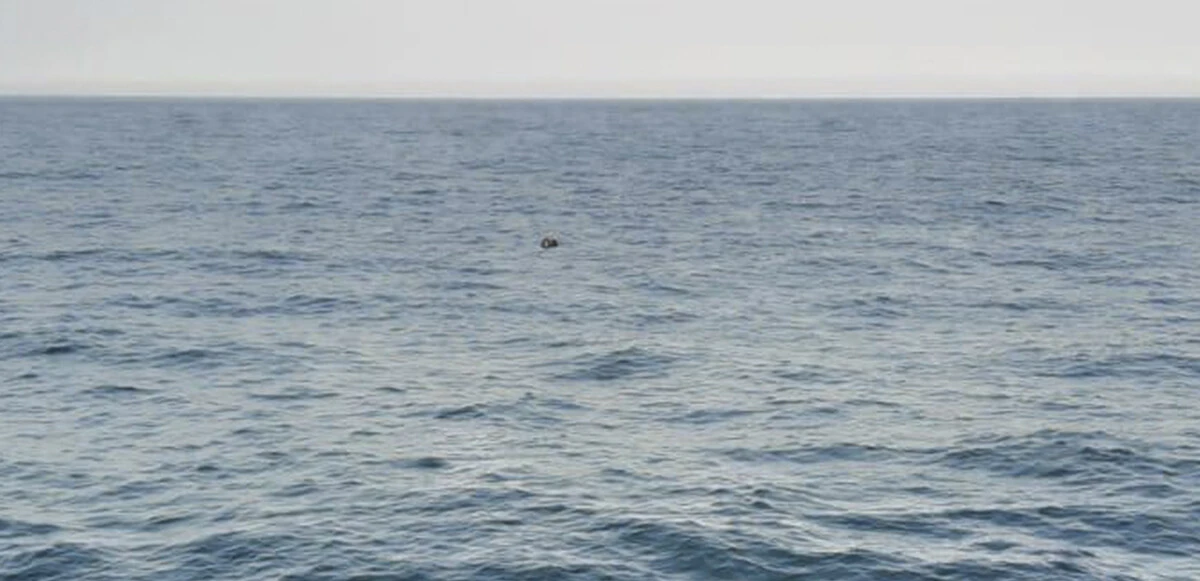 Son dakika! İğneada açıklarında mayın paniği: SAS komandoları etkisiz hale getirdi