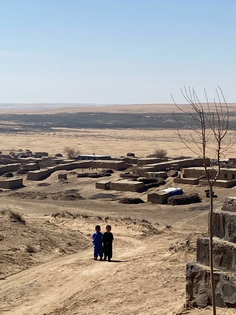 Afganistan: Yeni bir düzene doğru