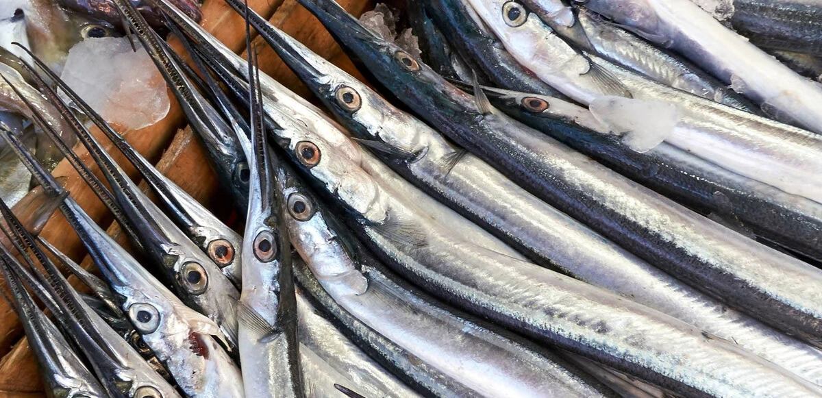 Boğazına saplanan zarganayla hastaneye kaldırıldı