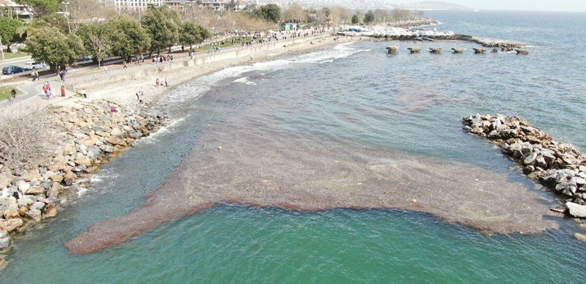 İstanbul Caddebostan sahilinde deniz çekildi: Kirlilik görüldü