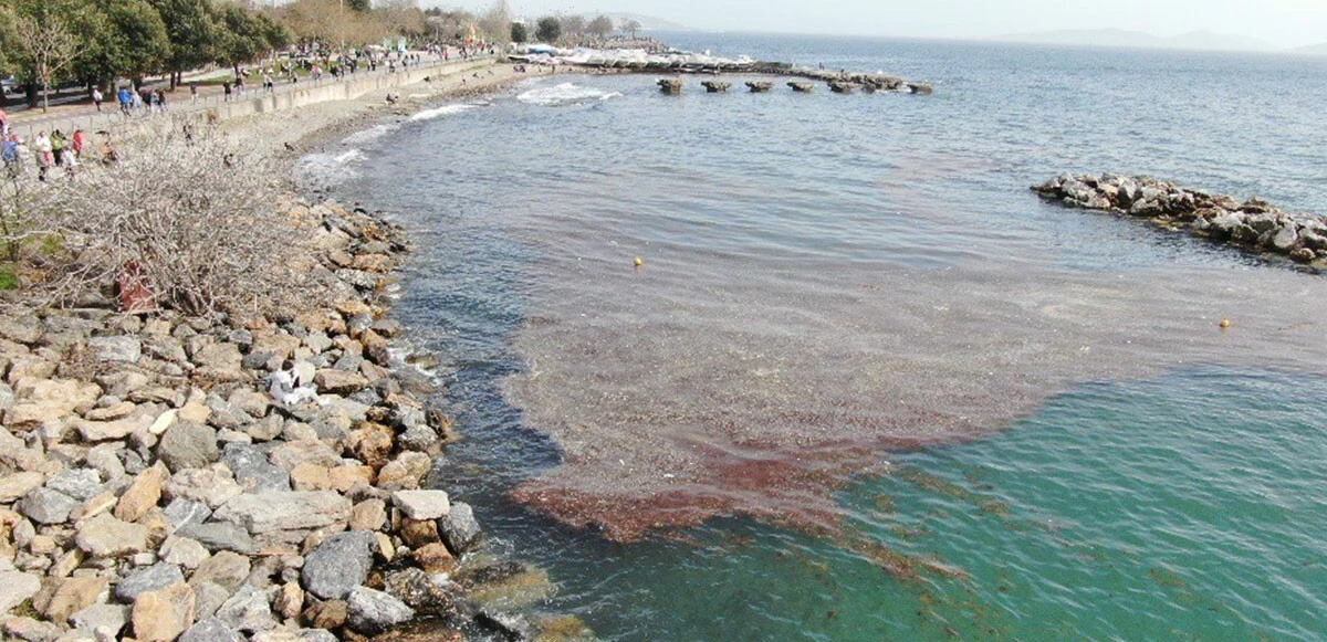 İstanbul Caddebostan sahilinde deniz çekildi: Kirlilik görüldü