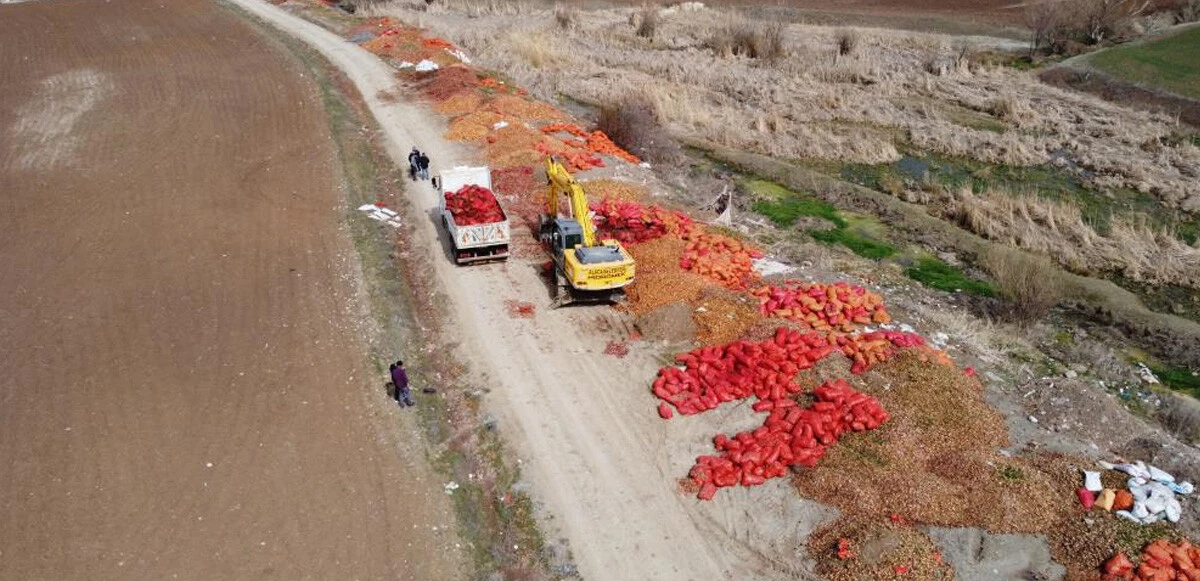 Yol kenarına atılmış yüzlerce çuval soğan bulundu