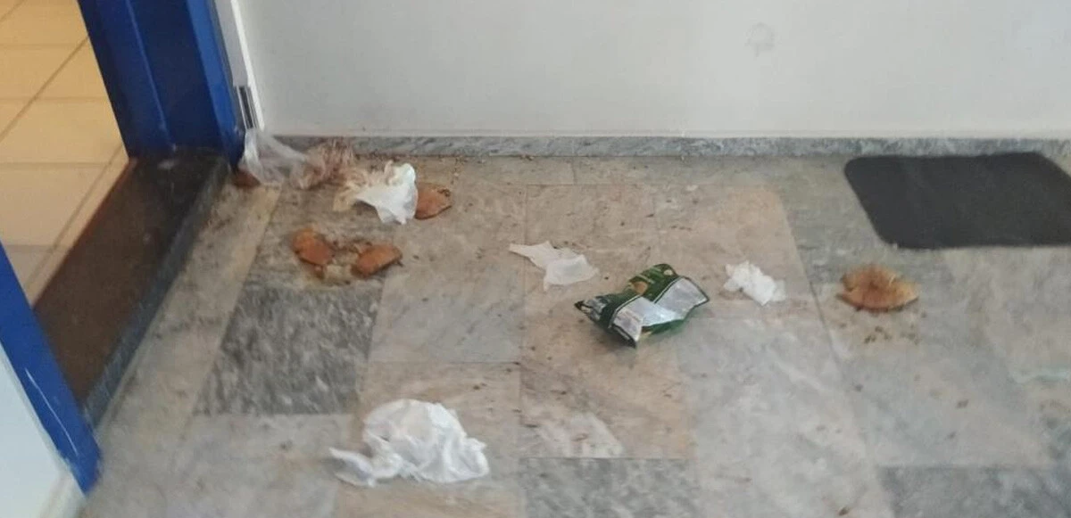 Bir çocuk annesini, komşusu hayatından bezdirdi