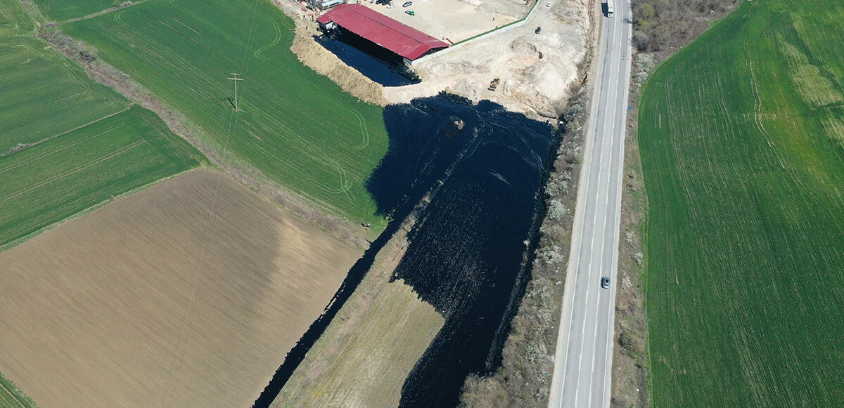 Edirne’de çevre katliamı: Tonlarca zift tarım alanına yayıldı