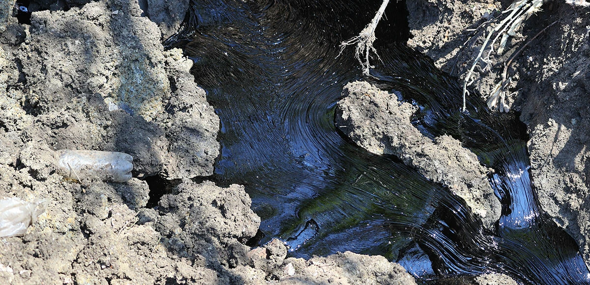 Edirne’de çevre katliamı: Tonlarca zift tarım alanına yayıldı