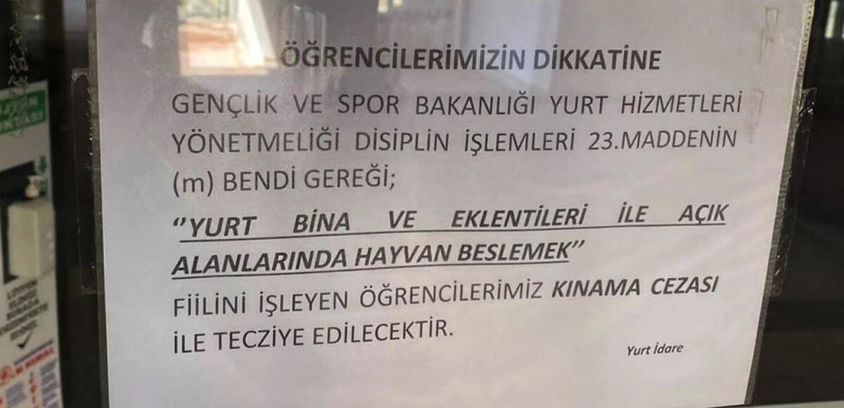 Kampüste tepki çeken karar: Sokak hayvanlarını besleyen öğrenciler cezalandırılacak
