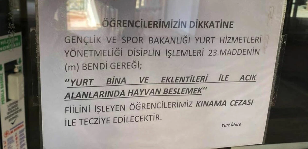 Kız öğrenci yurdu yönetiminden skandal yazı: Sokak hayvanlarını besleyen öğrencilere kınama