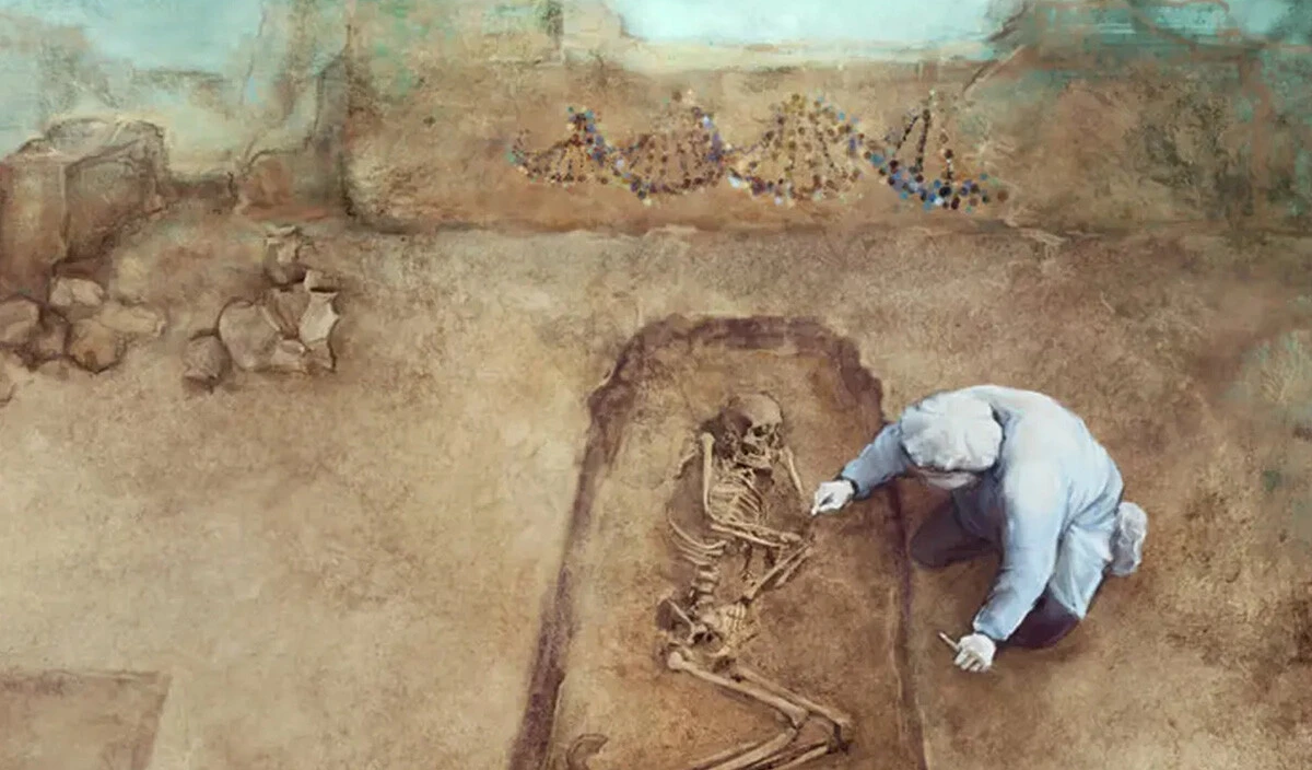 Tarım ile insanların kısaldığı ortaya çıktı