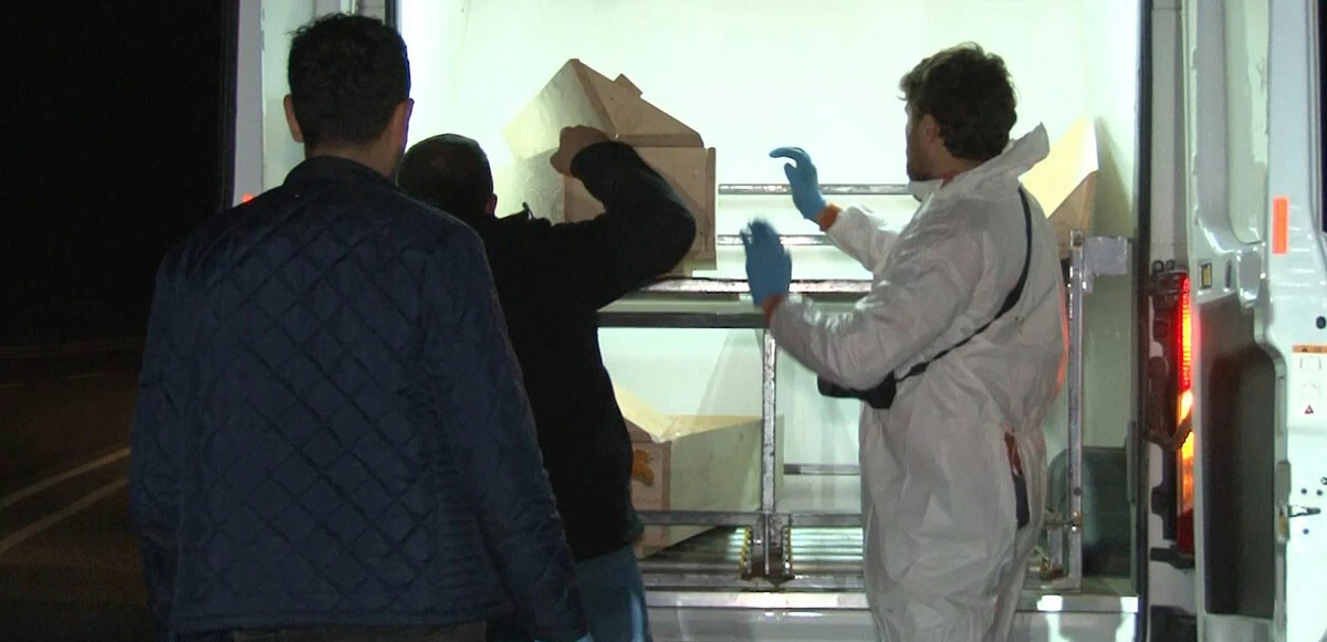 Ormanlık alanda 38 günlük ceset bulundu