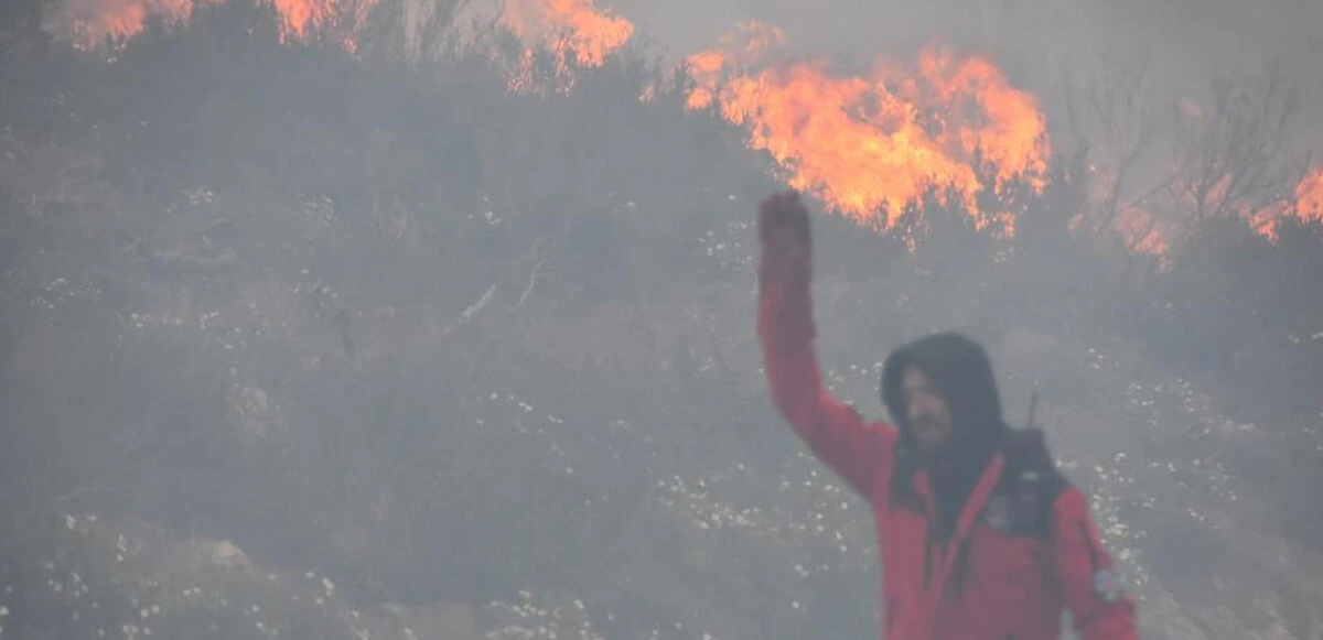 Ciğerlerimiz yanıyor! Bodrum'da ormanlık alan alevlere teslim oldu