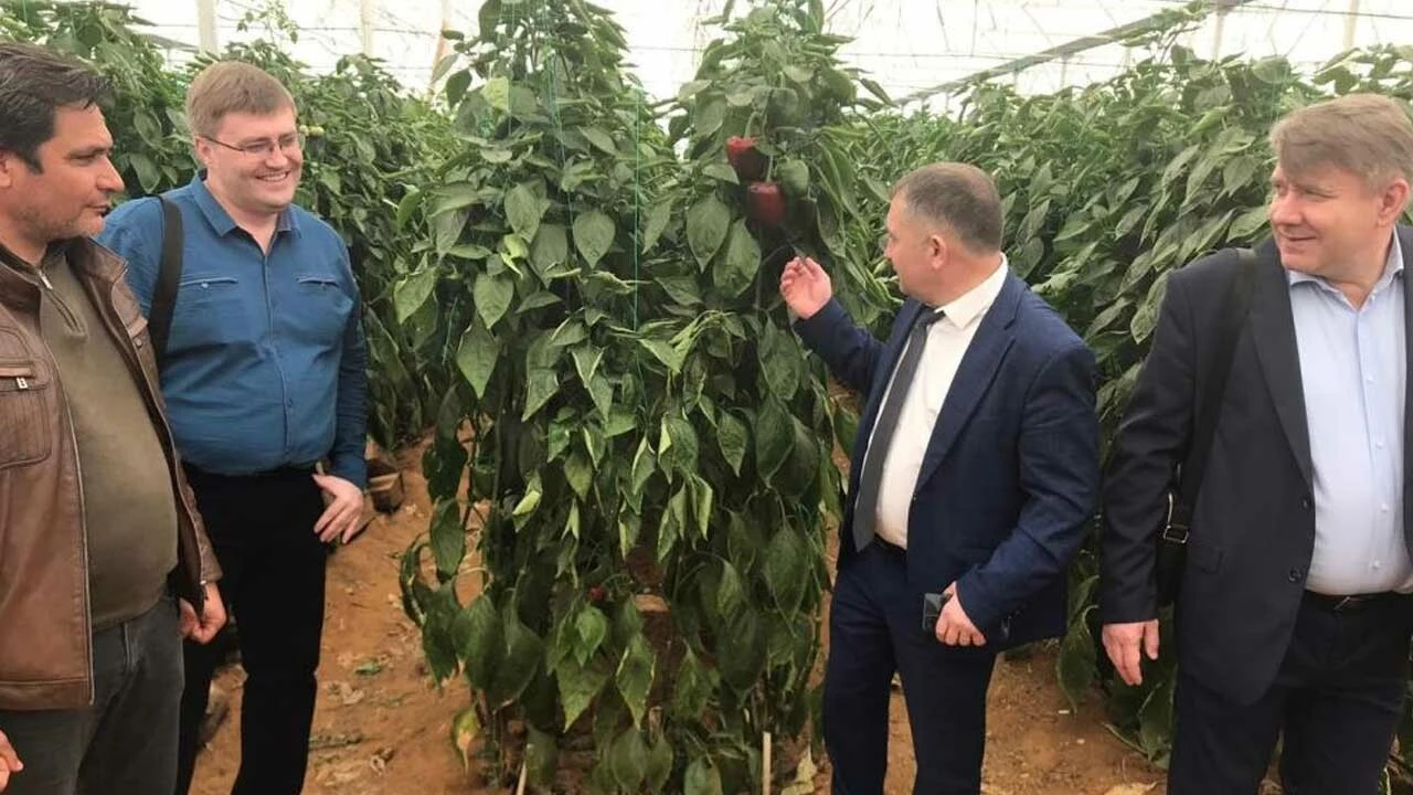 Rusya'dan Türkiye kararı: Kısıtlama kaldırıldı