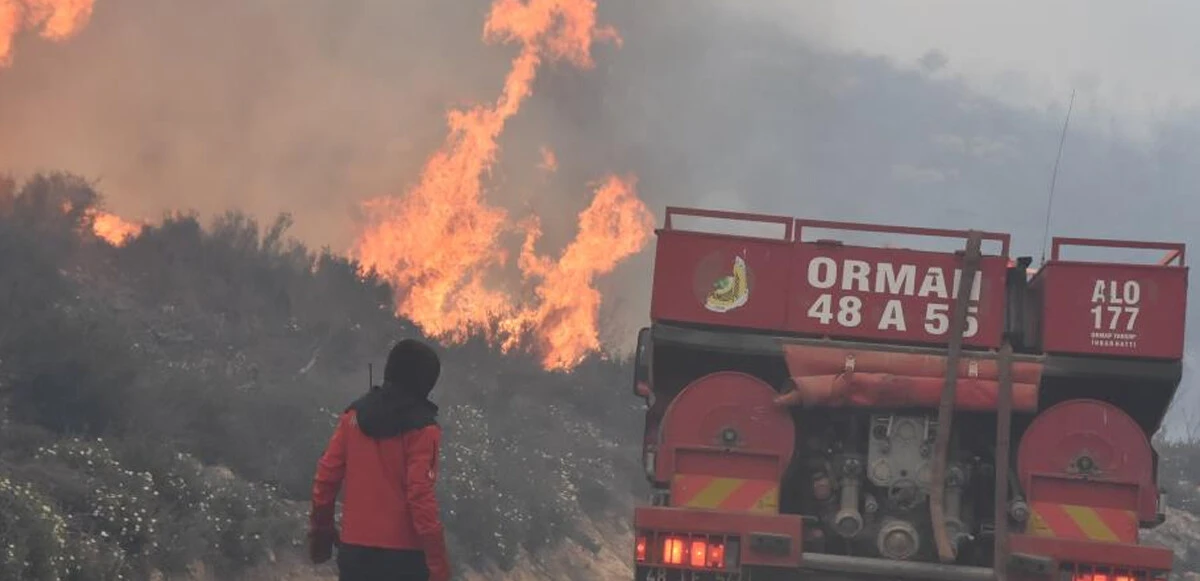 Ciğerlerimiz yanıyor! Bodrum'da ormanlık alan alevlere teslim oldu