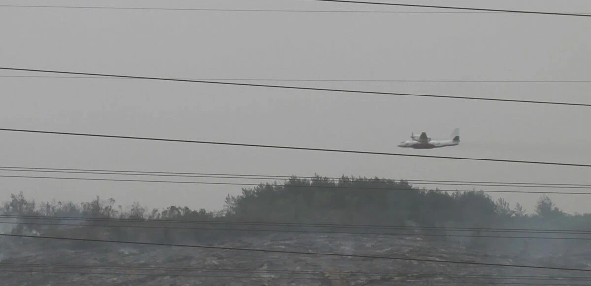 Hatay'da orman yangını: 2 kişi tutuklandı