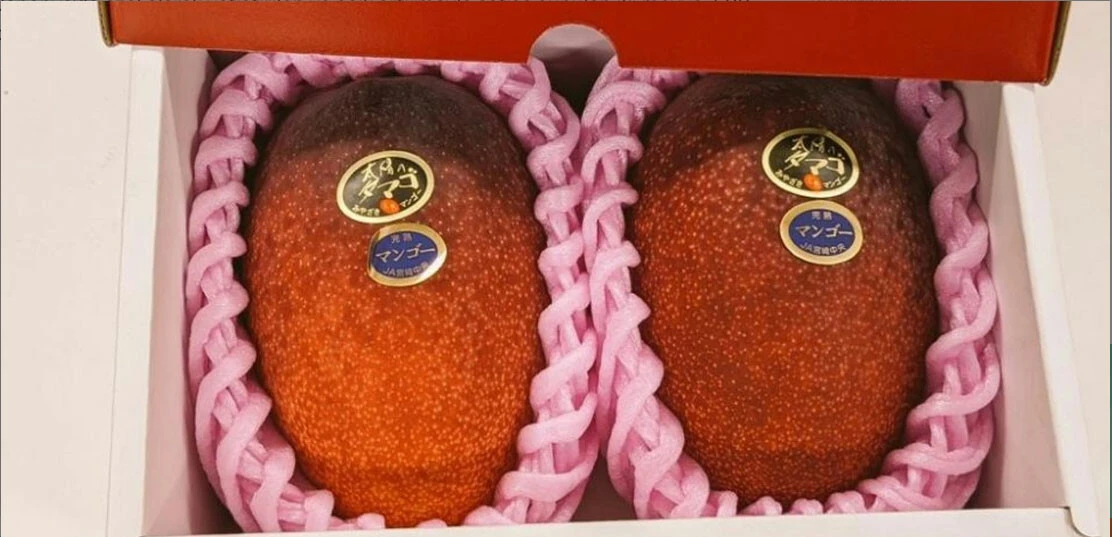 Yalnızca 1 kilosu 226 bin TL'ye satıldı! Açık arttırmada yeşil çay yarışı