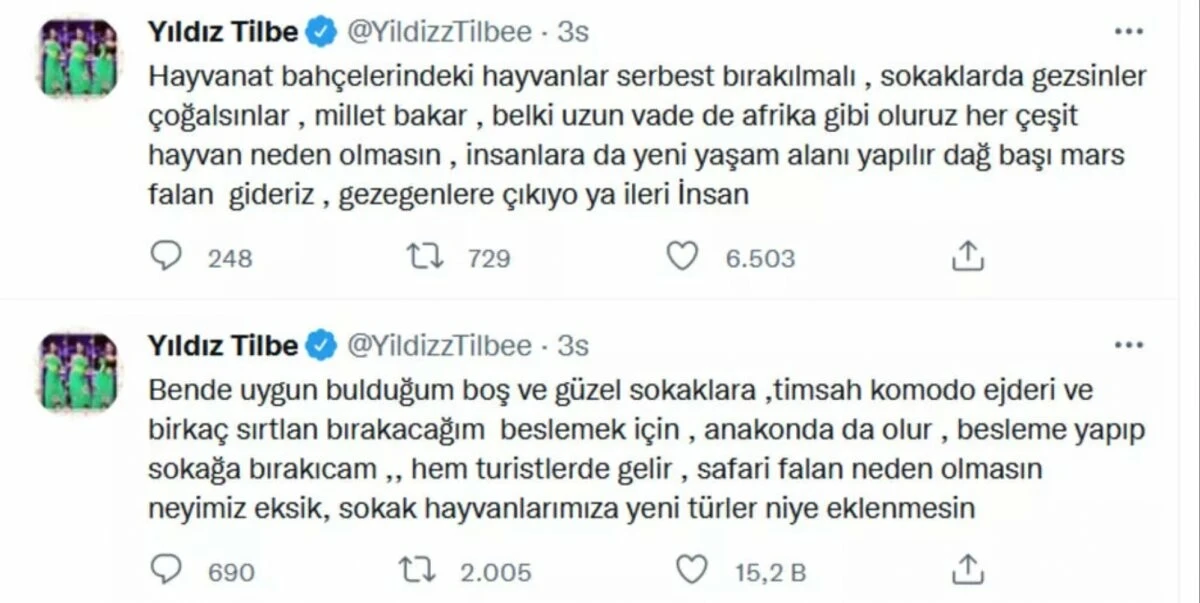 Yıldız Tilbe'den yeni paylaşım: Sokaklara, timsah, komodo ejderi ve birkaç sırtlan bırakacağım