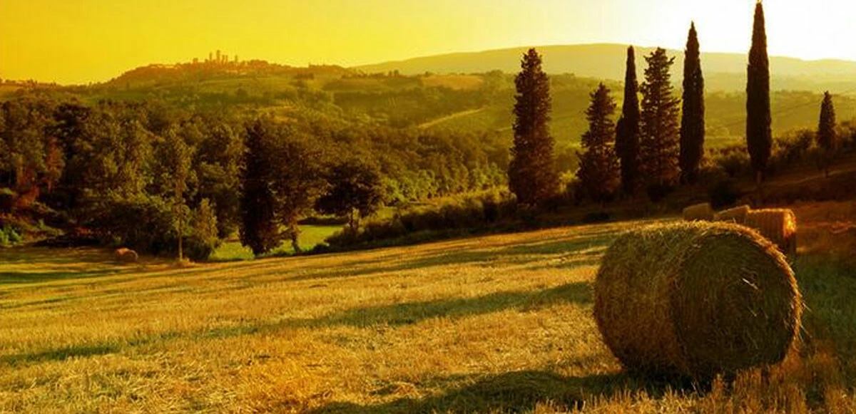 Gıda krizinde üretici açığı! Azalan çiftçi ve tarla sayısı ekonomik kriz sinyali...