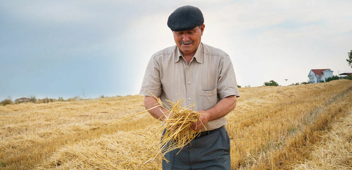 Gıda krizinde üretici açığı! Azalan çiftçi ve tarla sayısı ekonomik kriz sinyali...