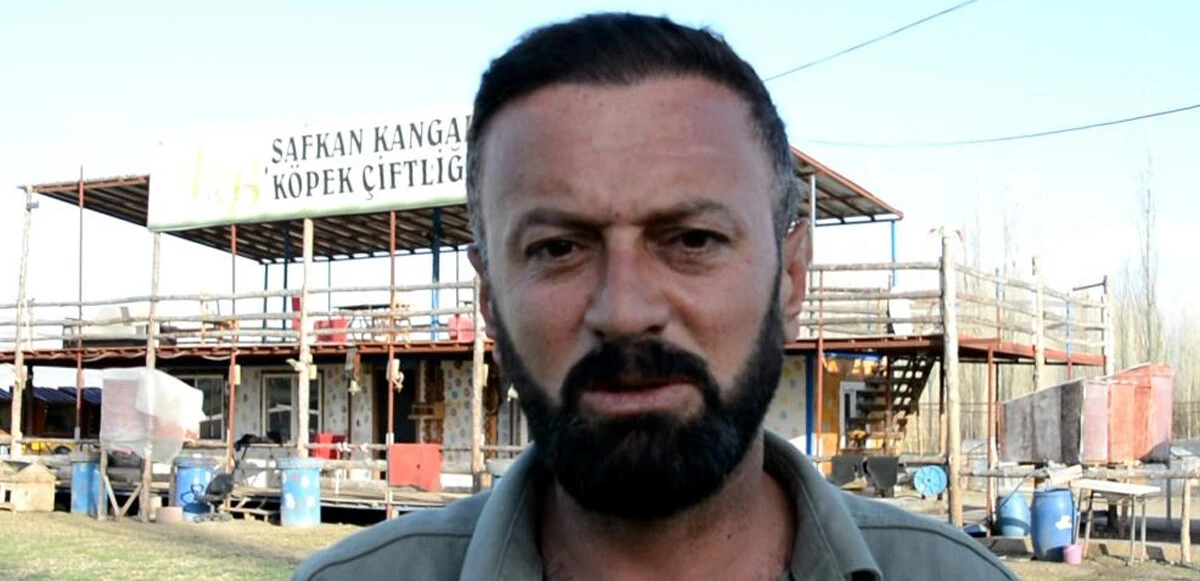 7 köpeğin saldırısına uğrayan kız çocuğu ölümden döndü