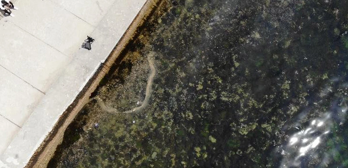 İstanbul sahillerinde endişelendiren görüntü: Müsilaj geri mi dönüyor?