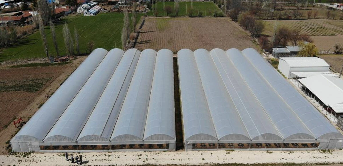 Geri sayım başladı! Ucuz sebzeye sayılı günler kaldı: Fiyatlar düşecek