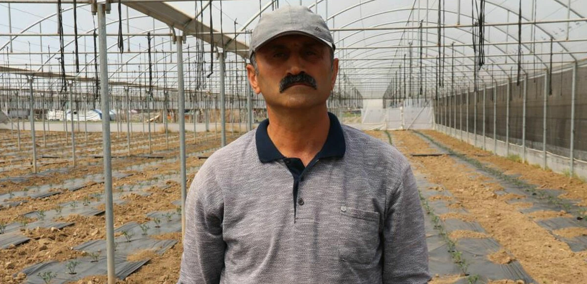 Geri sayım başladı! Ucuz sebzeye sayılı günler kaldı: Fiyatlar düşecek