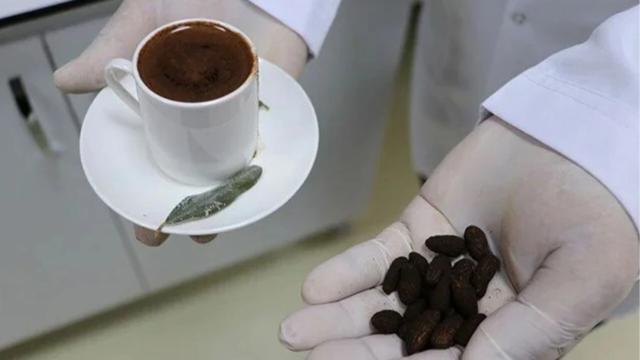 Zeytin çekirdeğinden kahve üretildi: Az maliyet, sıfır kafein