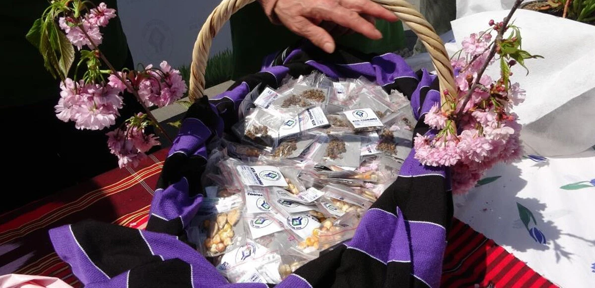 Bir paket tohum için birbirleriyle yarıştılar