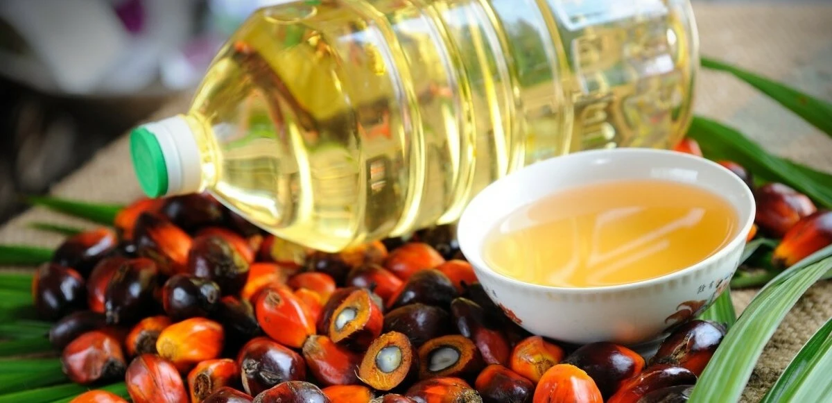 Ayçiçek yağına zam göründü: TMO’dan yeni hamle