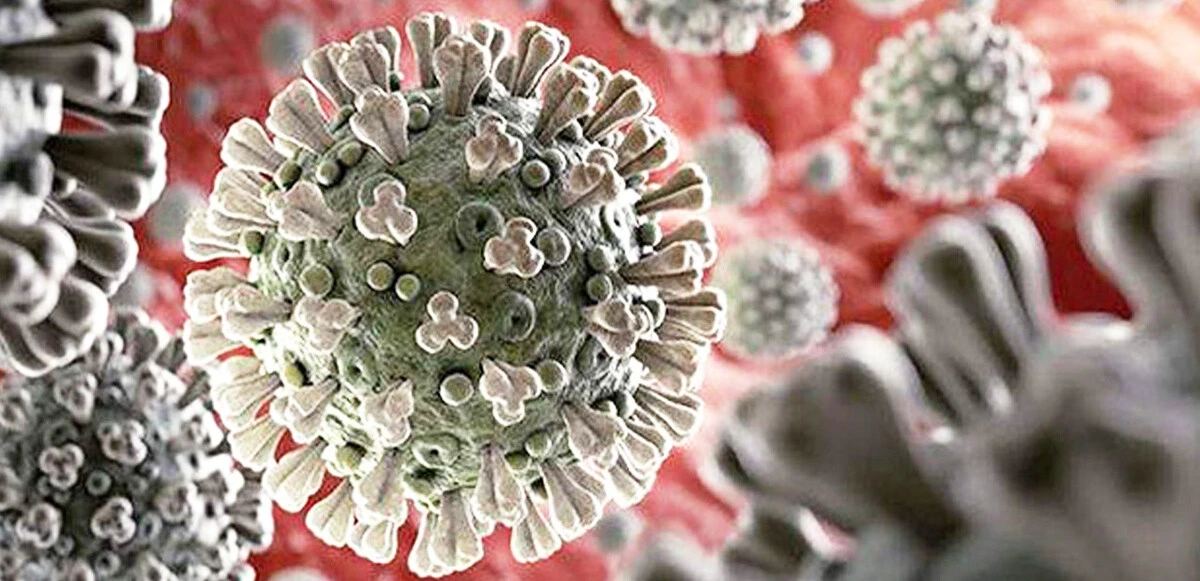 İngiltere Sağlık Ajansı uyardı: Gizemli hepatittin nedeni Adenovirüs