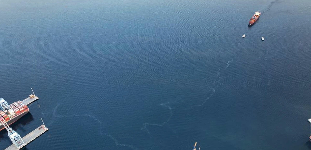 Marmara'da alarm! Belediyelere müsilaj markajı: Başkanlar yargılanabilecek