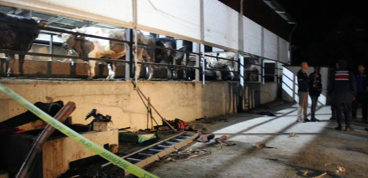 Hayvan çiftliğinde metan gazı faciası: 4 kişi kuyuda zehirlenerek can verdi