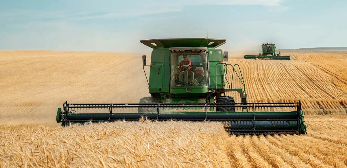 Ekmeğe zam mı gelecek? Buğday ve enerji krizi fiyatları ateşledi, ekmek zammı olacak mı?