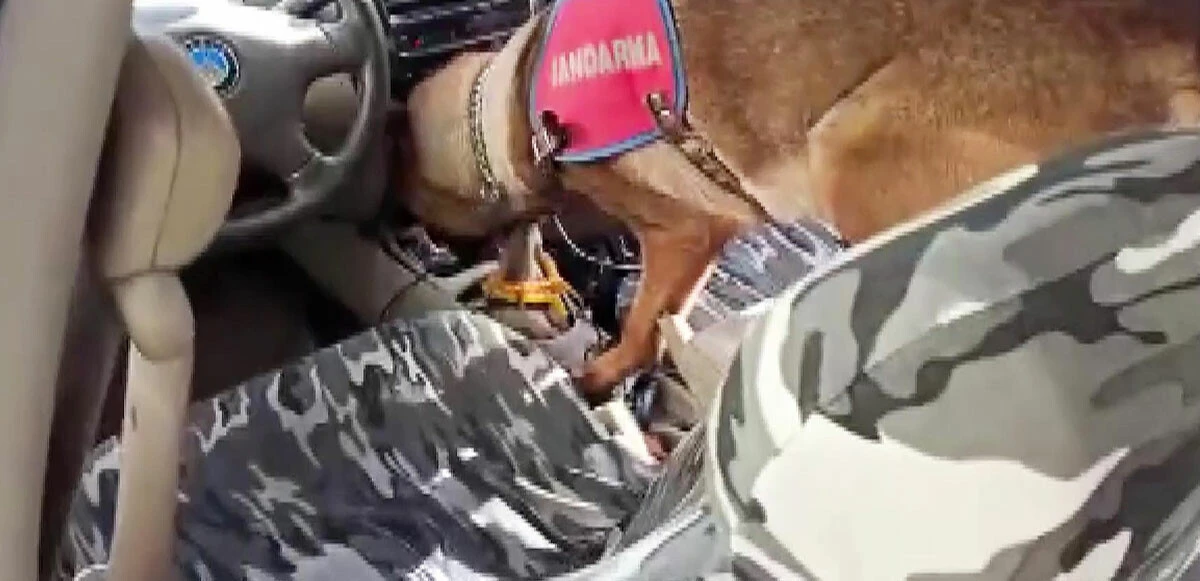 Üstü gül altı zehir! Uyuşturucuyu piyasaya sürecekken yakalandı