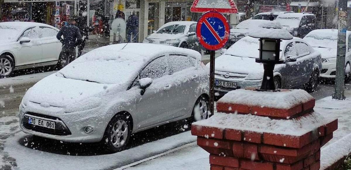 Ardahan'da lapa lapa yağan kar, kışı aratmadı