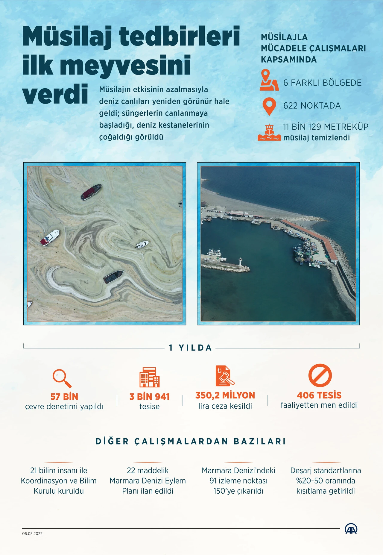 Müsilajın etkisi azaldı, Marmara Denizi'nde sürüngenler canlandı