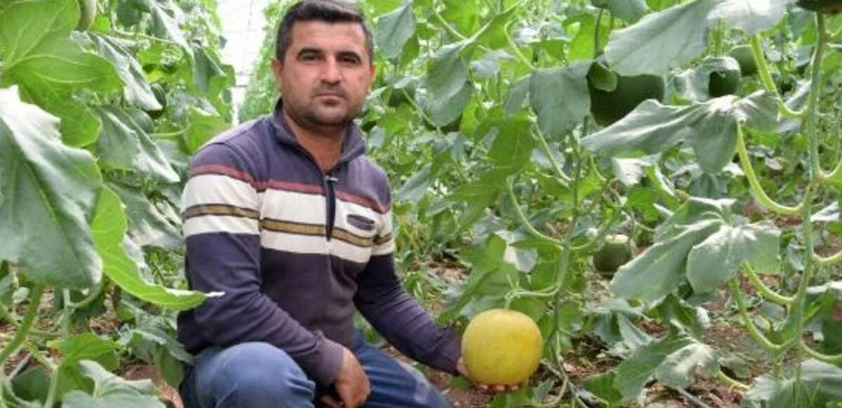 Devrilen traktörün altında kalan sürücü hayatını kaybetti