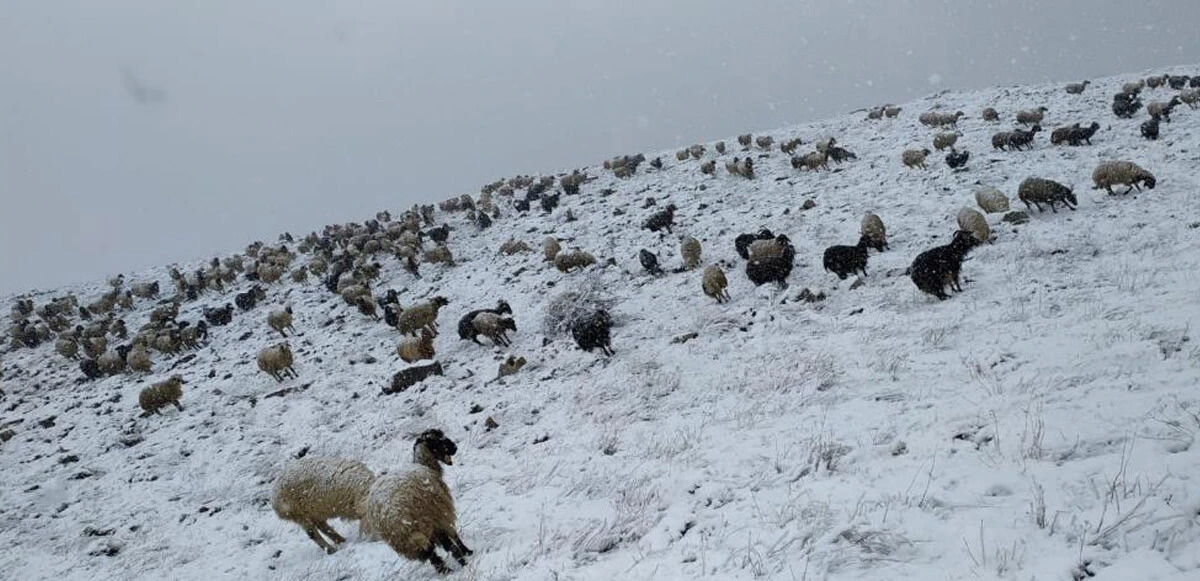 Meteoroloji'den hafta sonu plan yapanlara uyarı: Sıcaklık mevsim normallerinin üzerine çıkacak
