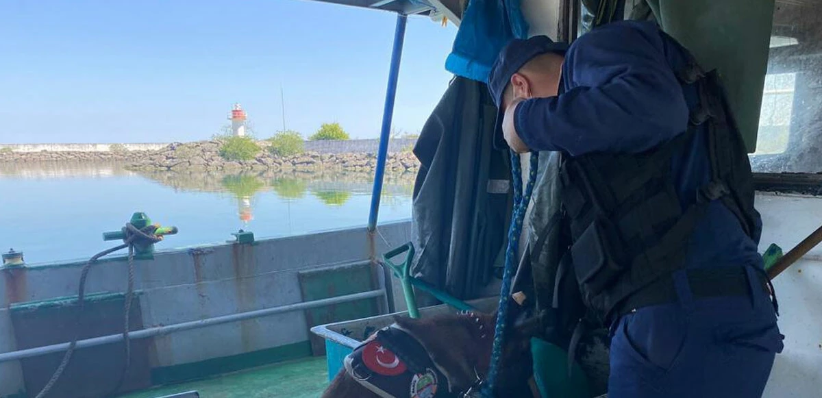 Son dakika! İçişleri Bakanlığı duyurdu: 3 bin göçmen, 29 organizatör yakalandı