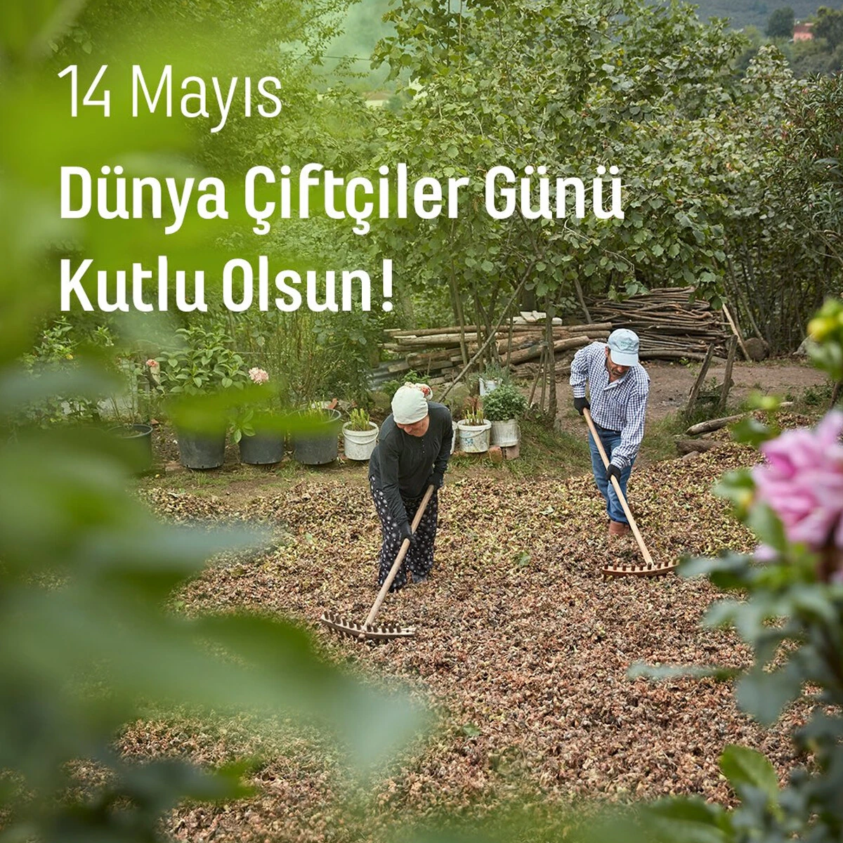 14 Mayıs Çiftçiler Günü mesajları: En güzel ve anlamlı Çiftçiler Günü kutlama mesajları