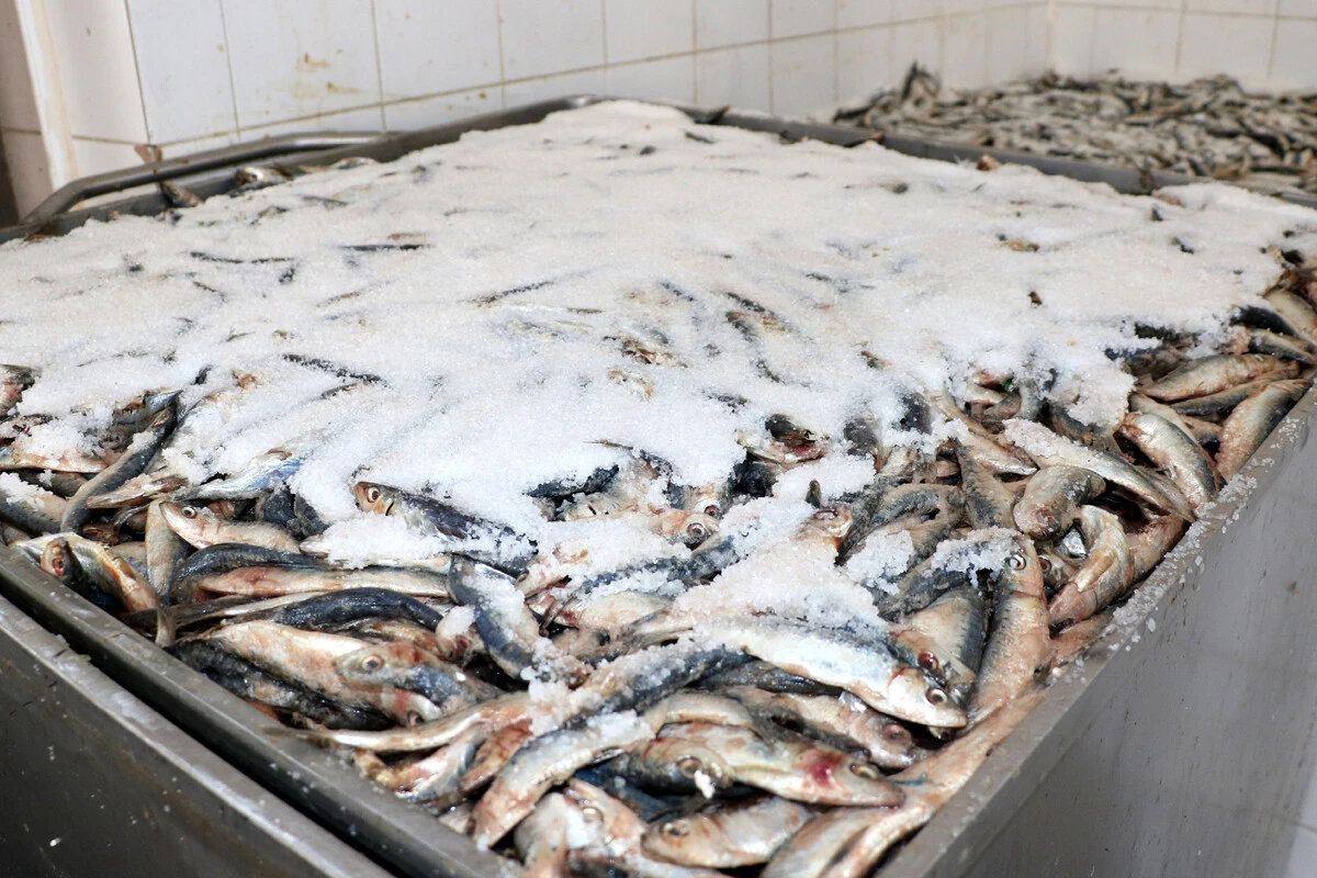 Her lokması KANSER yapıyor, uzmanlar sakın yemeyin diye uyardı üstelik Türkiye’de çok tüketiliyor