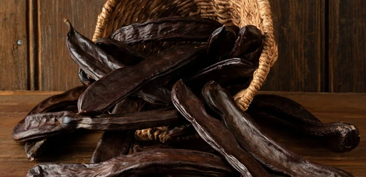 Çikolatadan vazgeçemeyen migren hastalarına uzmanlardan şifa deposu bir alternatif: Keçiboynuzu