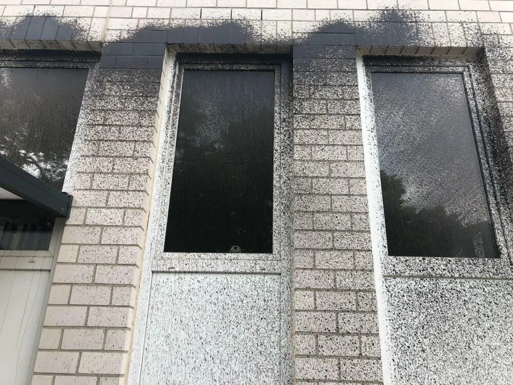 Almanya'da bir ırkçı saldırı daha: Cami duvarı böyle boyandı