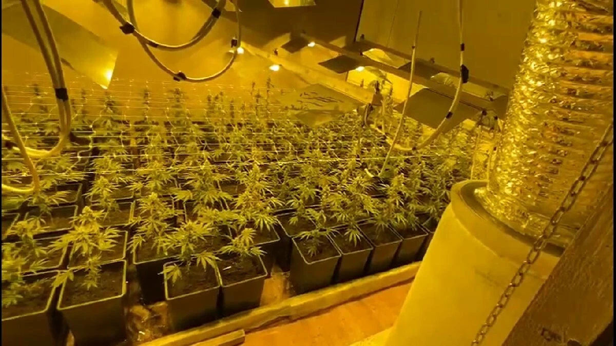 Böbreğini satarak uyuşturucu imalathanesi kurdu