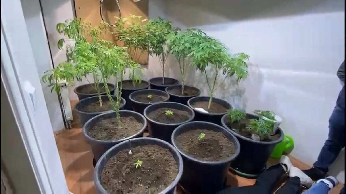 Böbreğini satarak uyuşturucu imalathanesi kurdu